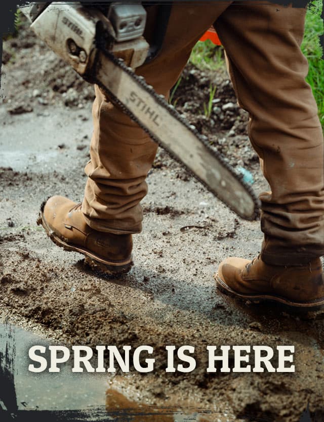 SPRING IS HERE