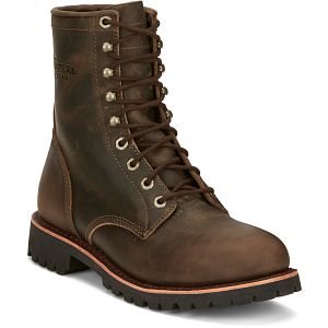 Classic 2.0 8" Lace Up in choclate apache (brown)