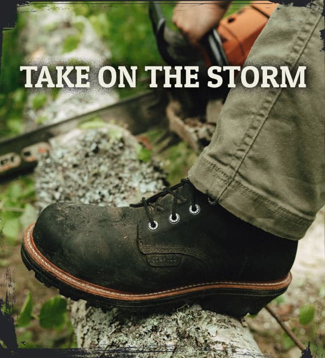 TAKE ON THE STORM.