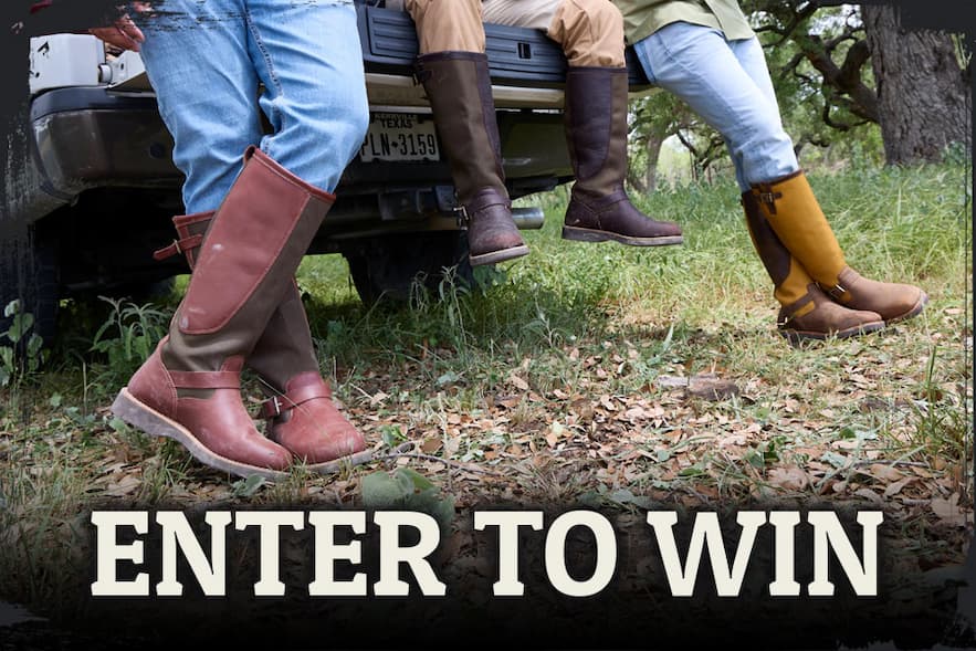ENTER TO WIN