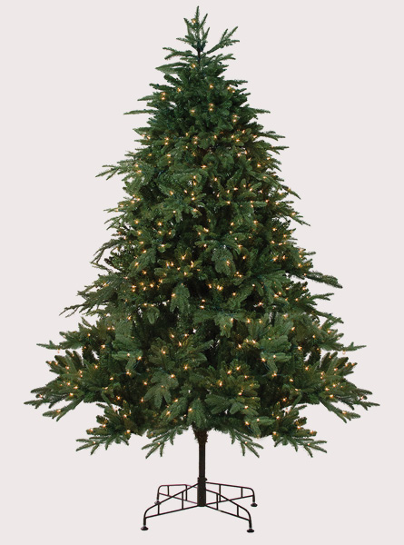 9' Aurora Spruce