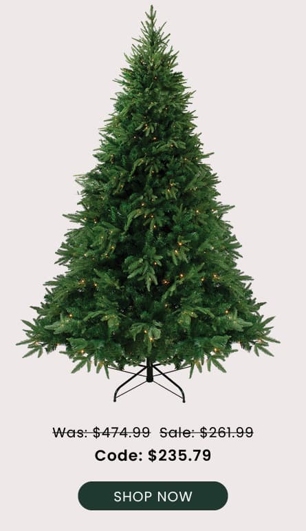7.5' Silverthorne Fir Tree
