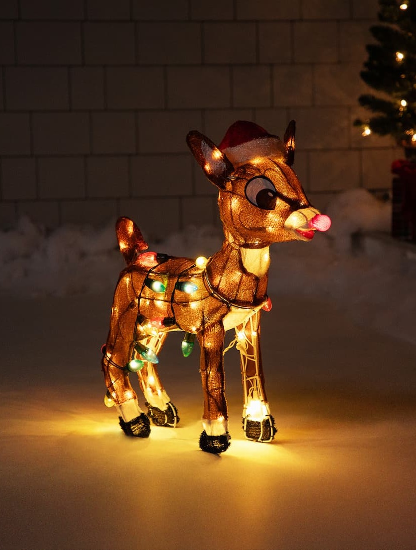 Outdoor Rudolph
