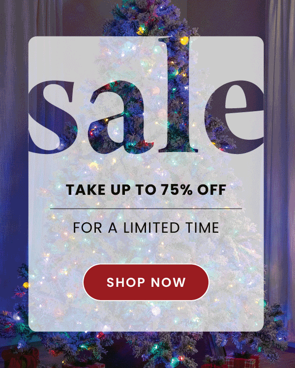 After Christmas Sale