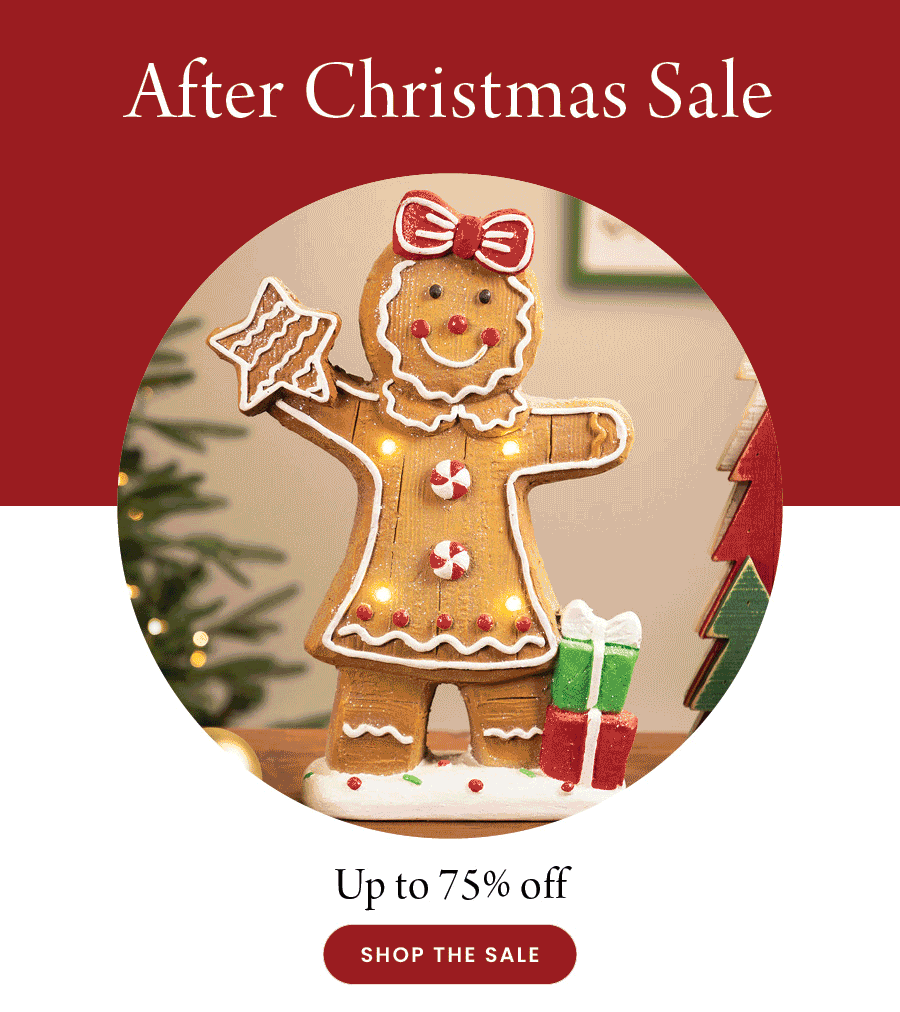 Up to 75% off - After Christmas Sale