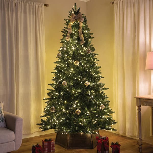 On Sale Trees