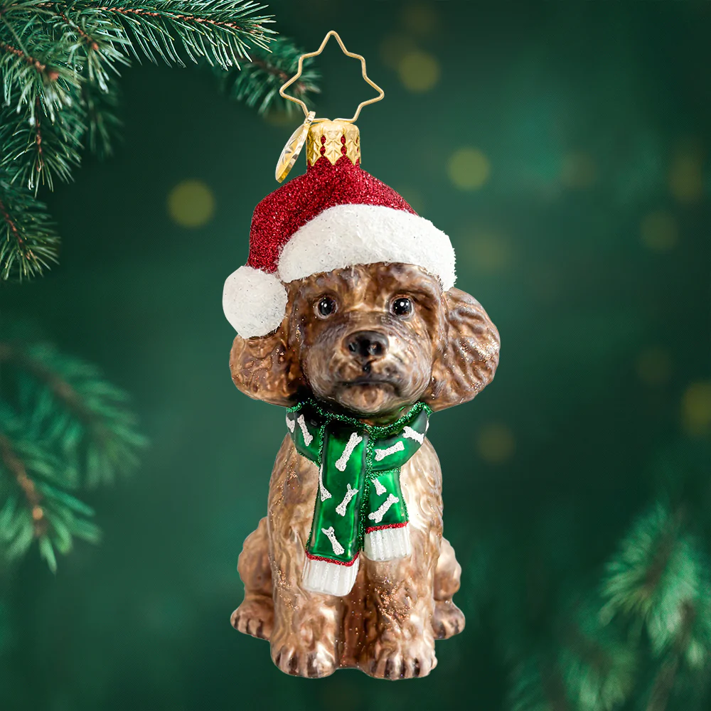 Image of The Posh Poodle