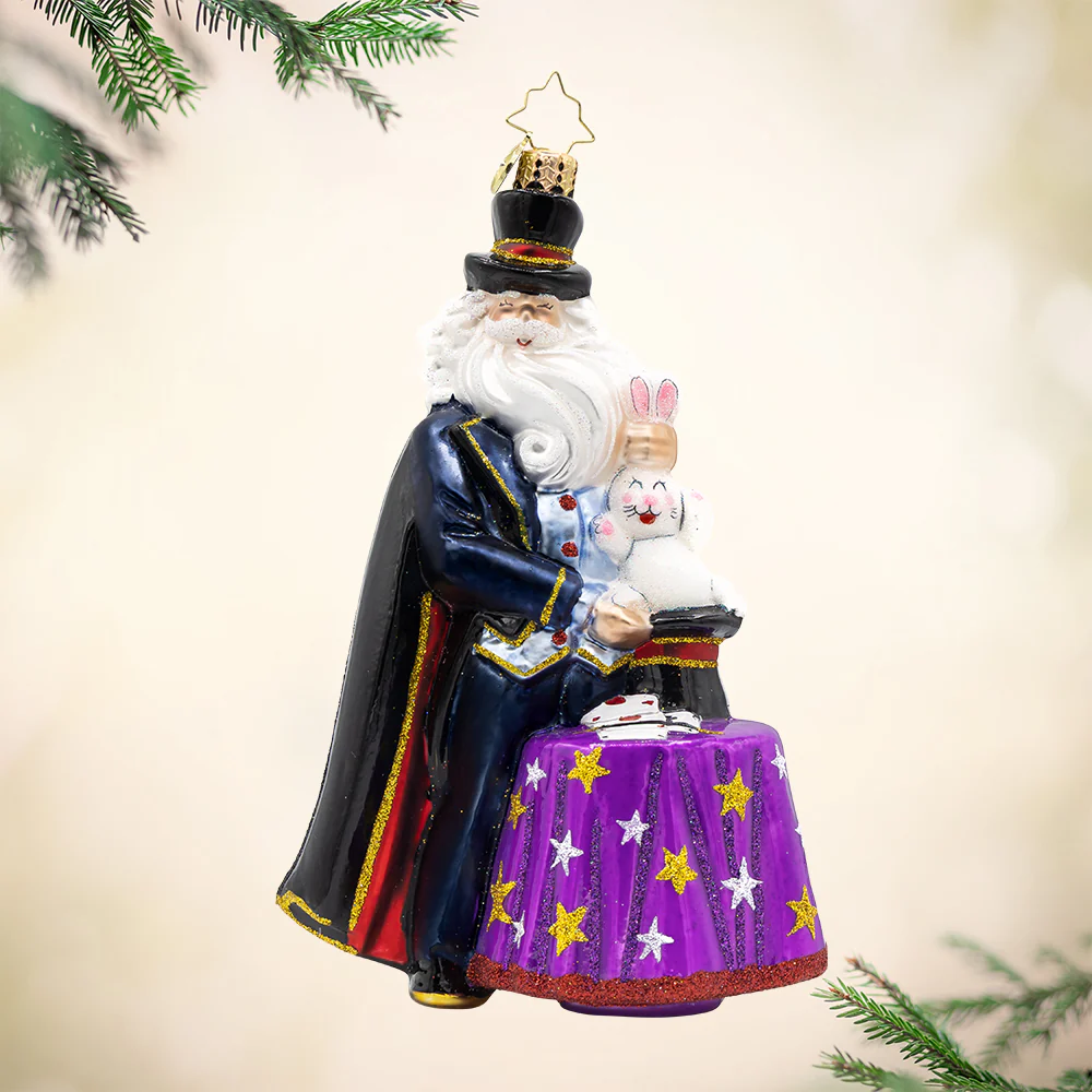 Image of The Merry Magician