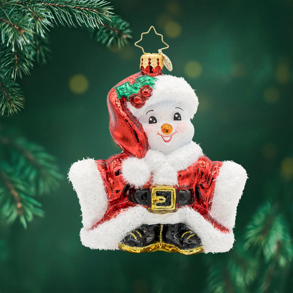 Image of Santa's Snowy Stand-In