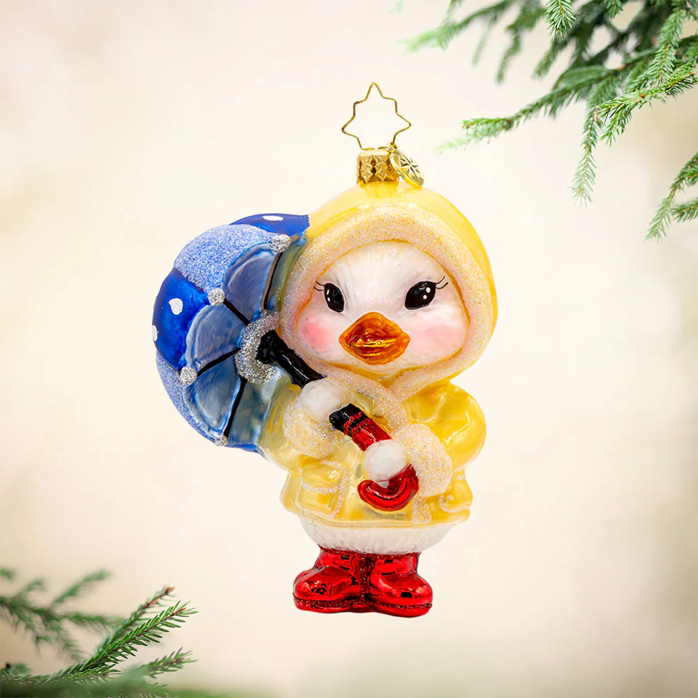 Image of Rainy Day Duckling