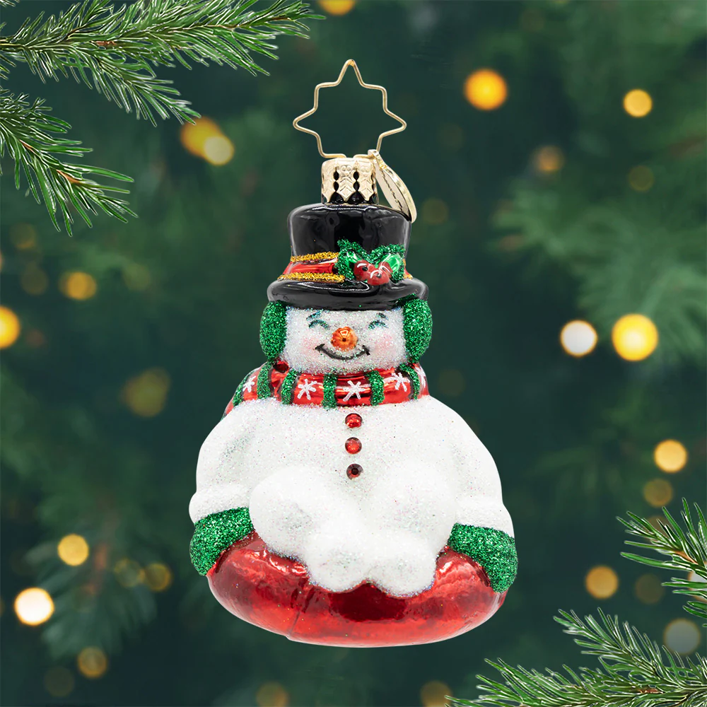 Image of Snowy Slider Gem