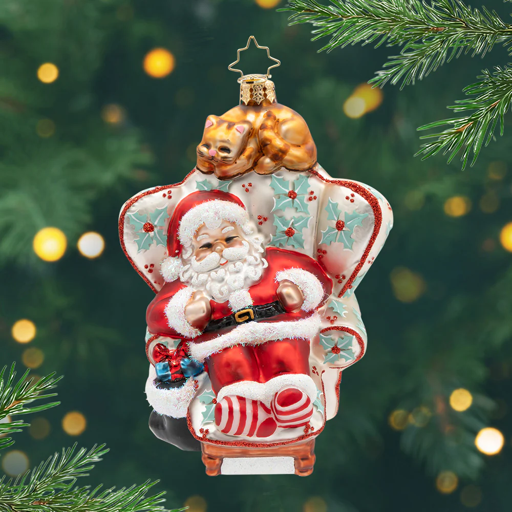 Image of Cat Nap Santa