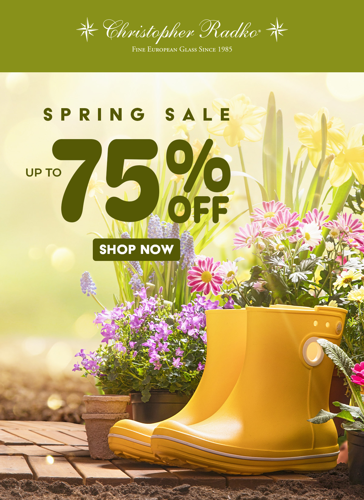 Spring Sale