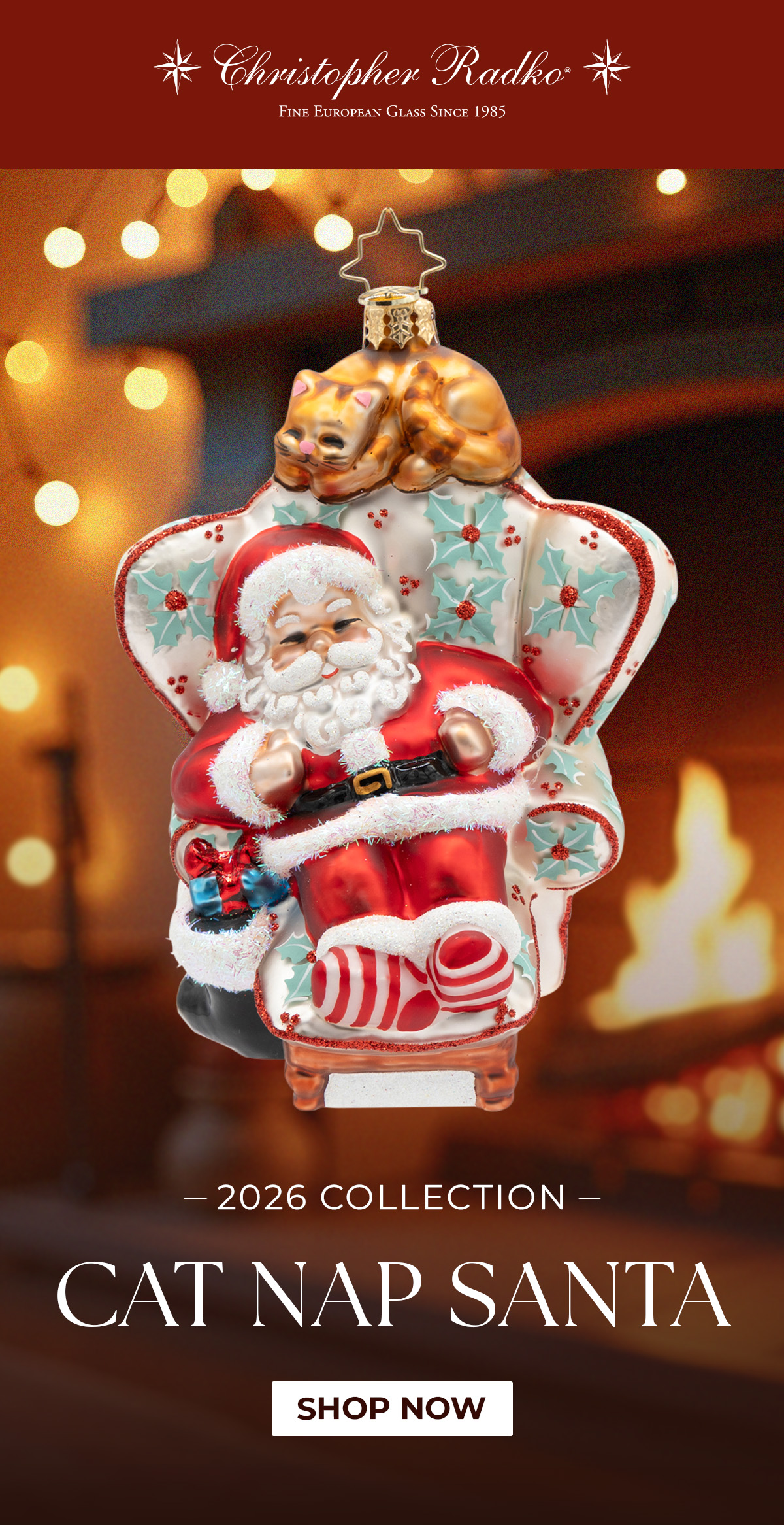 Cat Nap Santa