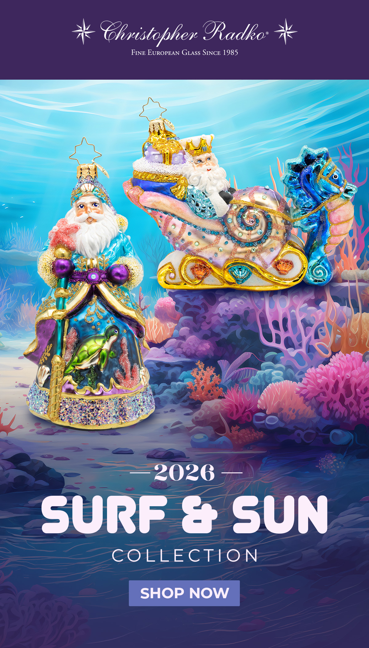 Surf & Sun
