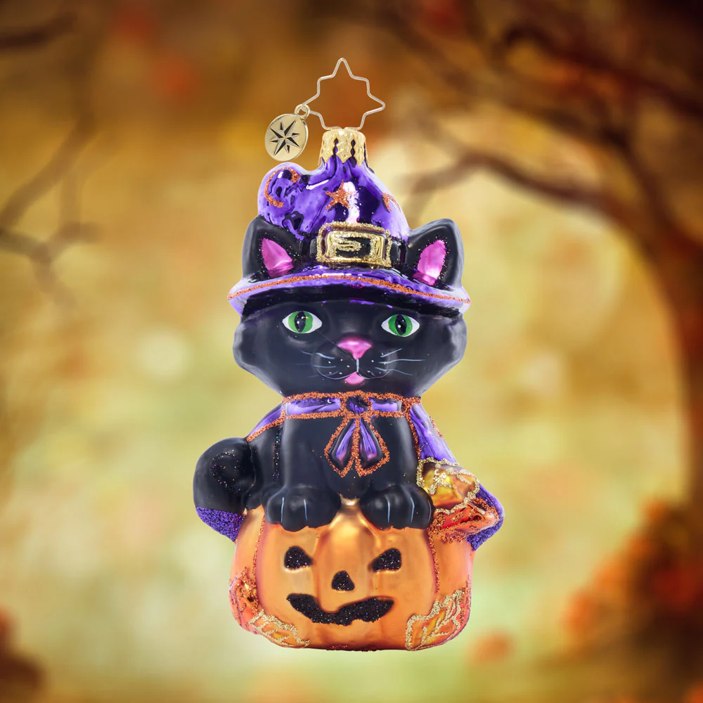 Image of Witchy Whiskers