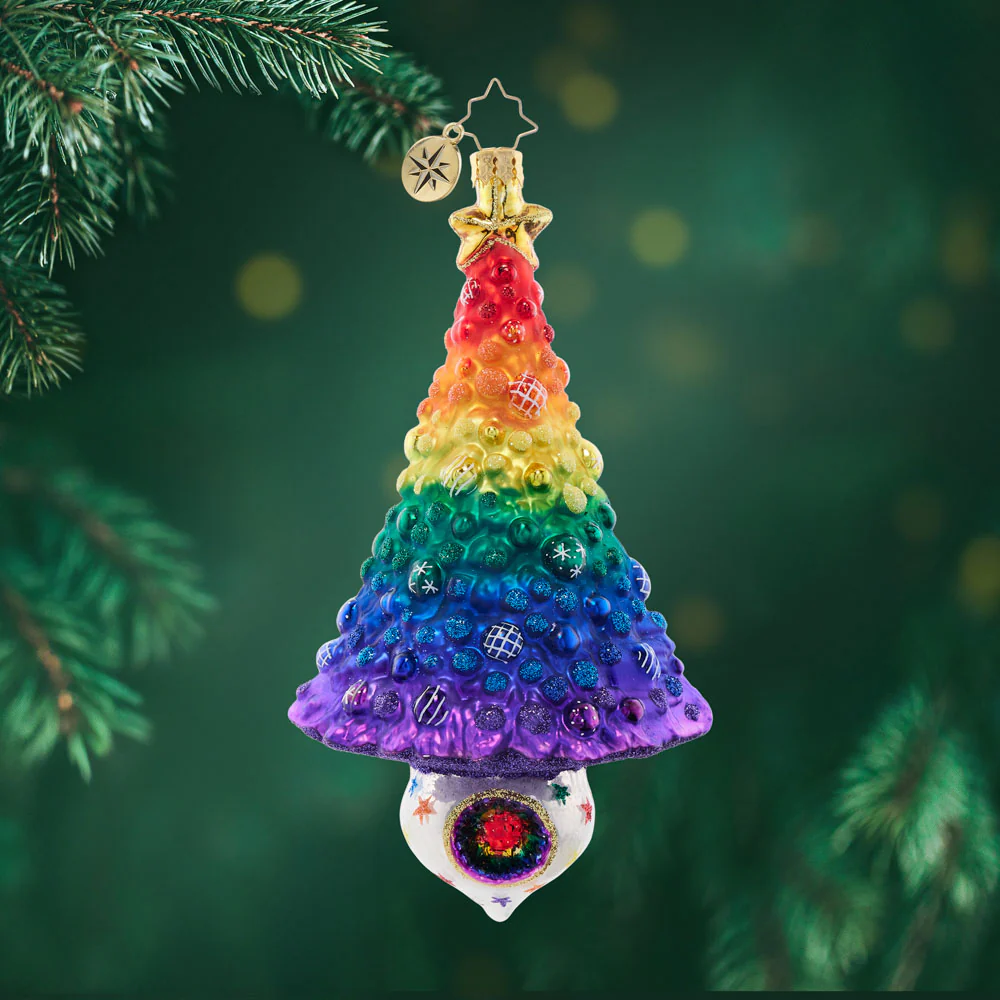 Image of Rainbow Radiance Fir