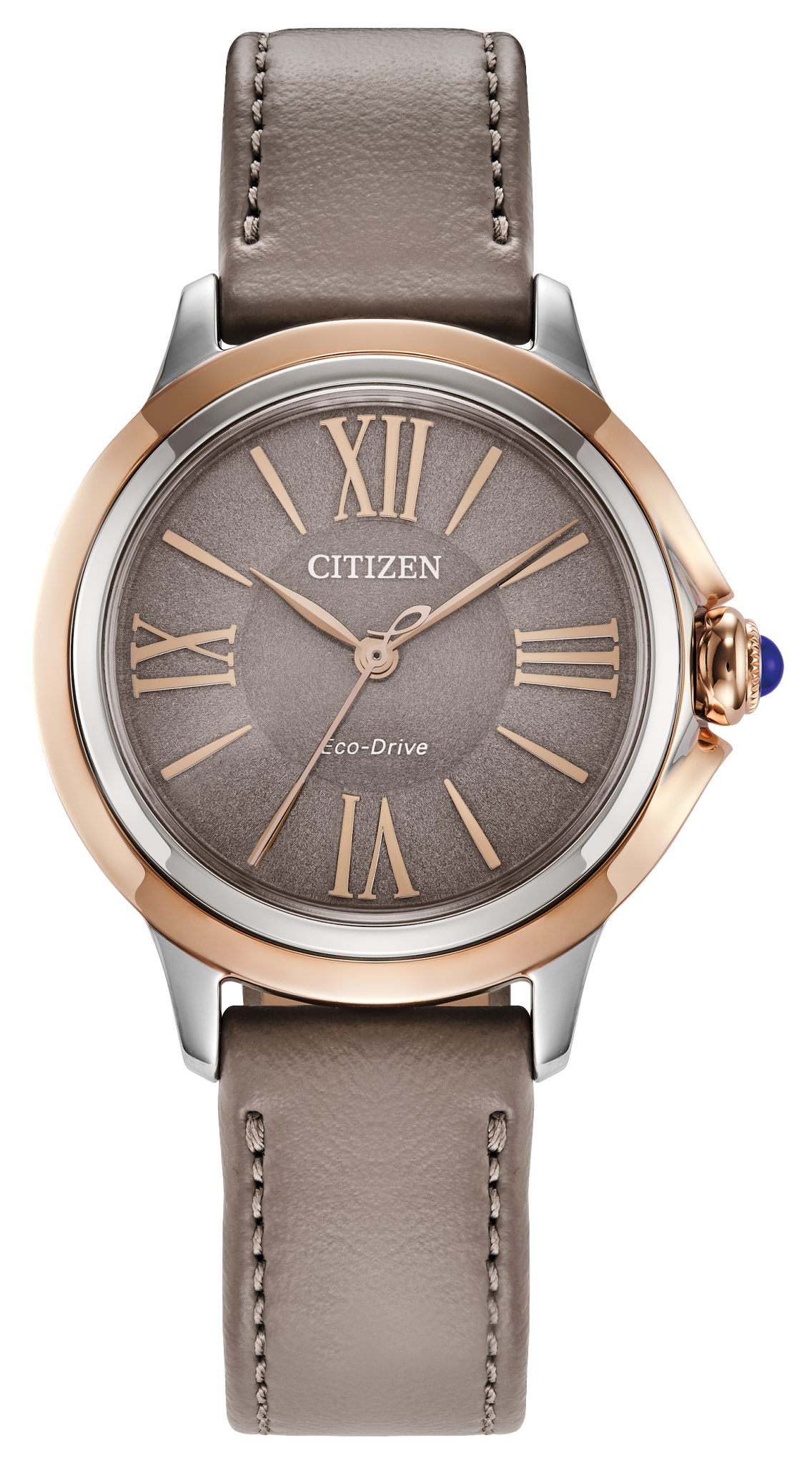 Image of Citizen L Ceci