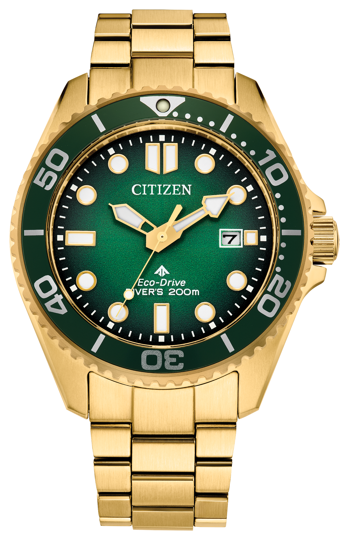 Image of Promaster Dive