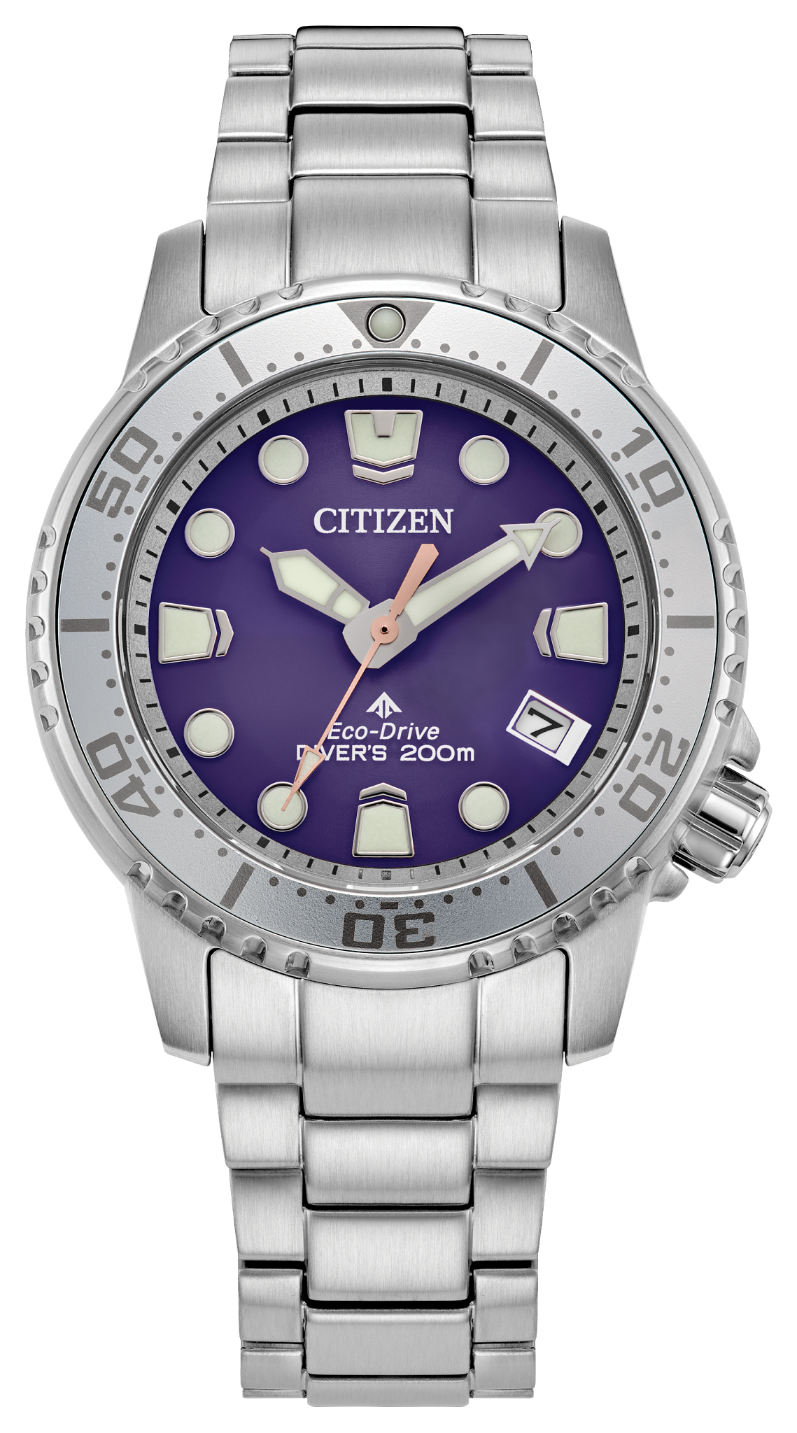 Image of Promaster Dive