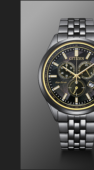 Classic LIGHT in BLACK  -  AT2576-68E