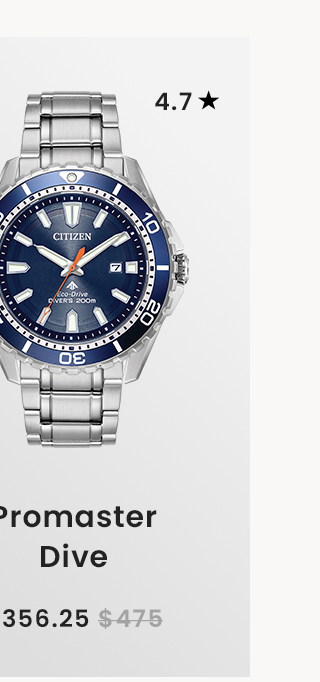 Promaster Dive