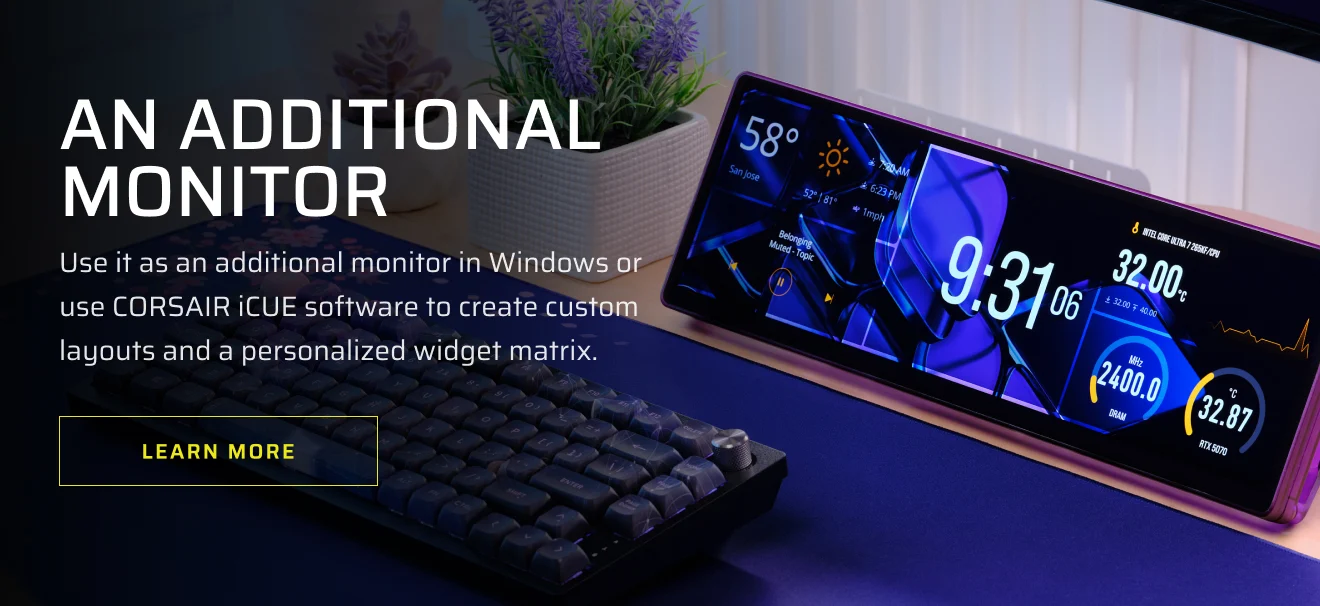 AN ADDITIONAL MONITOR