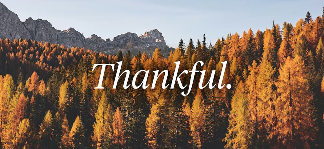 Thankful.