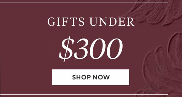 Gifts Under $300 Shop Now