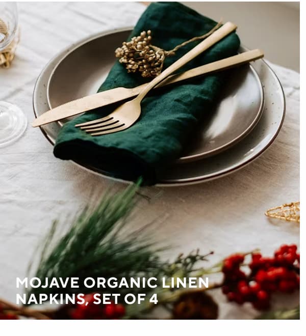Mojave Organic Linen Napkins, Set of 4