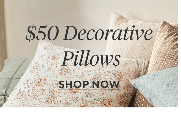 $50 Decorative Pillows Shop Now
