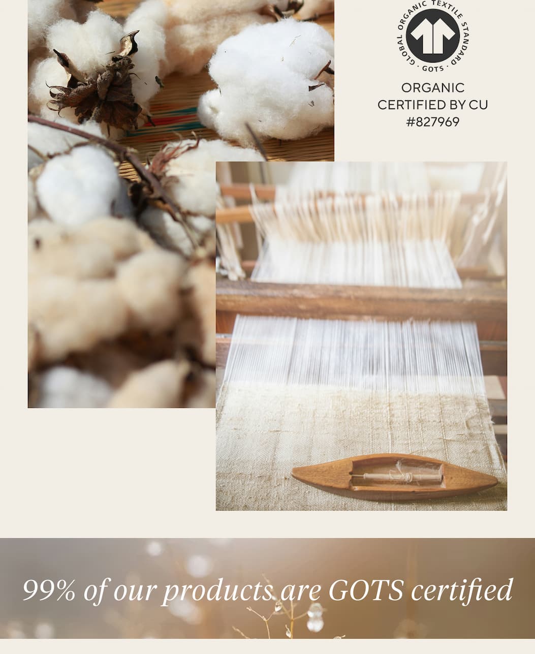 99% of our products are GOTS certified