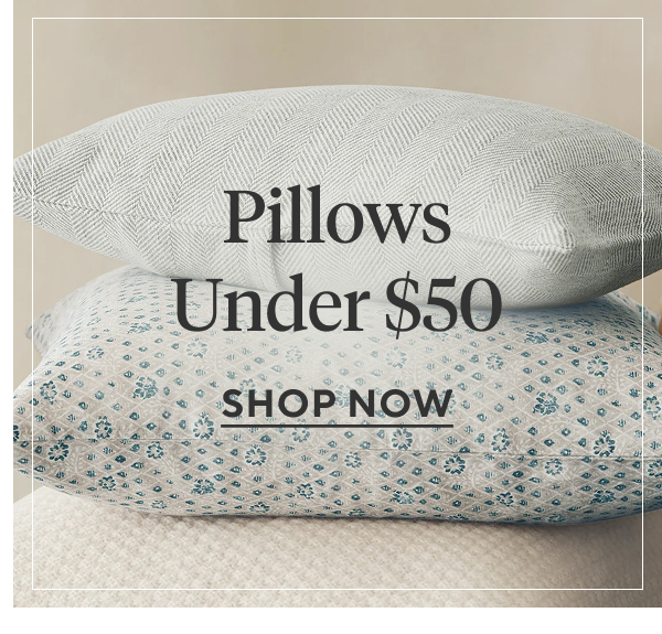 Pillows Under $50 Shop Now