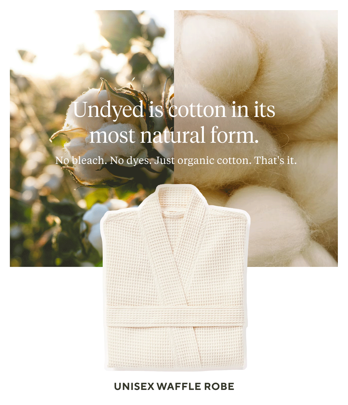Undyed is cotton in its most natural form. No bleach. No dyes. Just organic cotton. That's it.