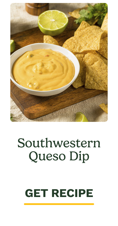 Southwestern Queso Dip