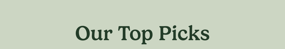 Our Top Picks