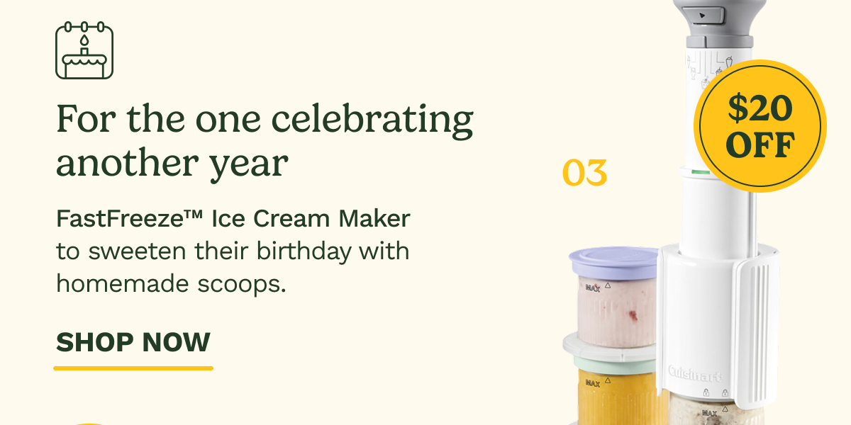 For the one celebrating another year | FastFreeze Ice Cream Maker