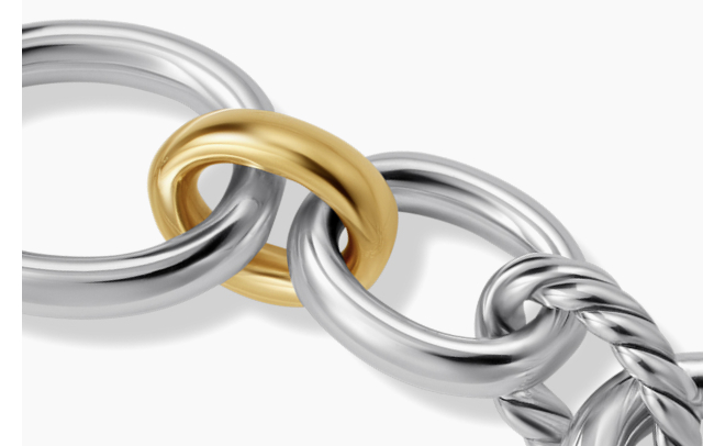 An oval-link bracelet with luxe touches of gold
