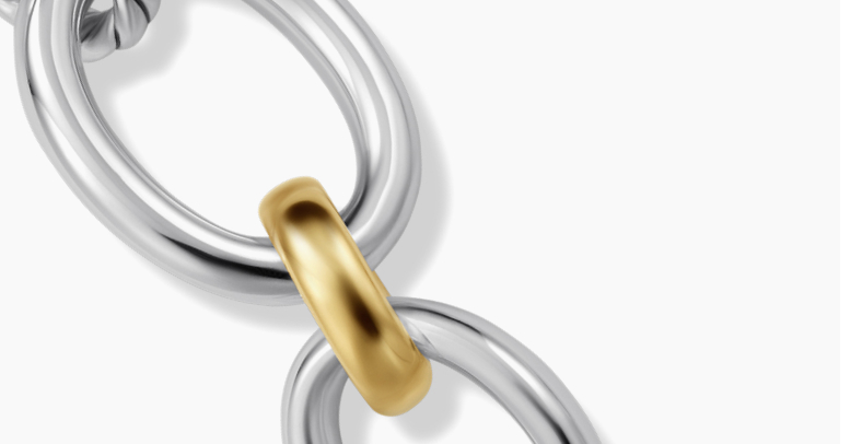 An oval-link bracelet with luxe touches of gold