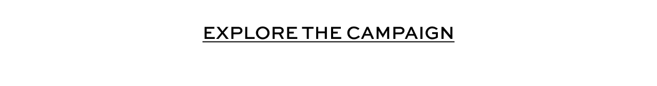 Explore the Campaign