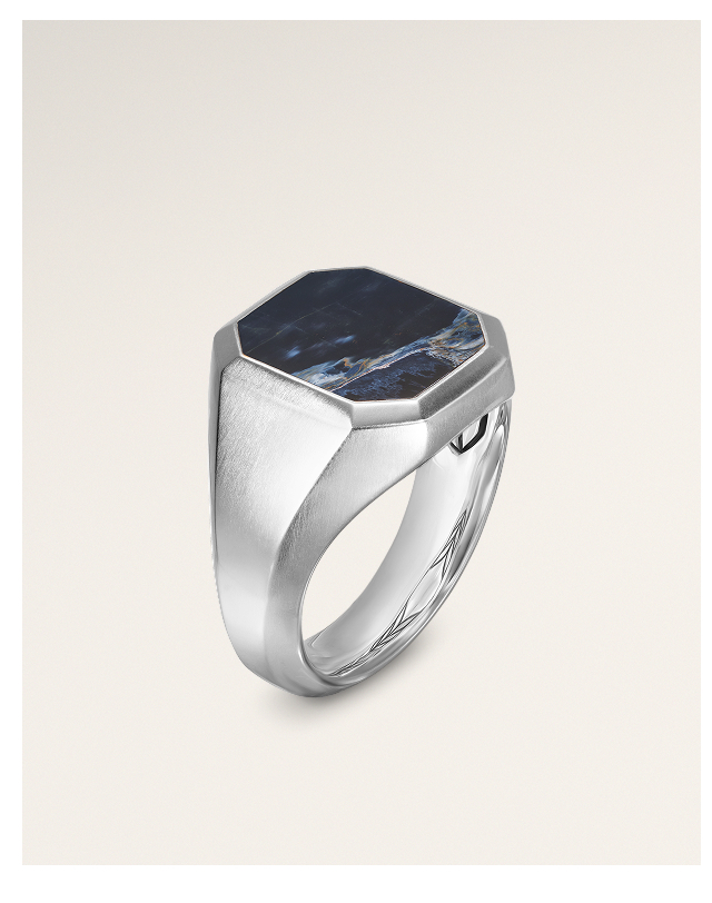Streamline® Signet RingSterling Silver with Pietersite, 18mm