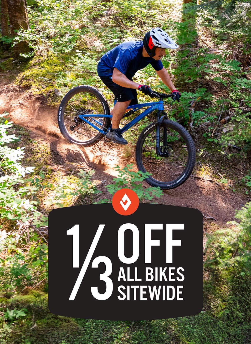 Diamondback 1/3 Off All Bikes Sale