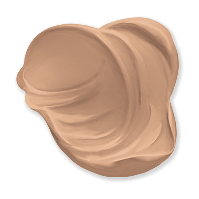 Ginger Nut dollop