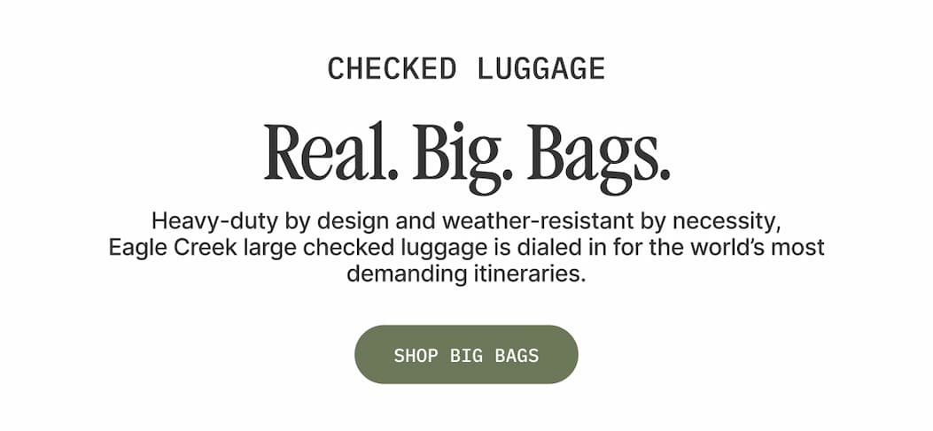 Checked Luggage