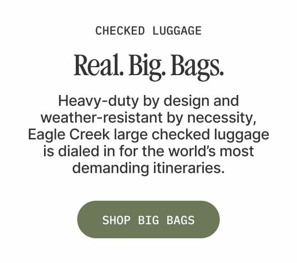 Checked Luggage
