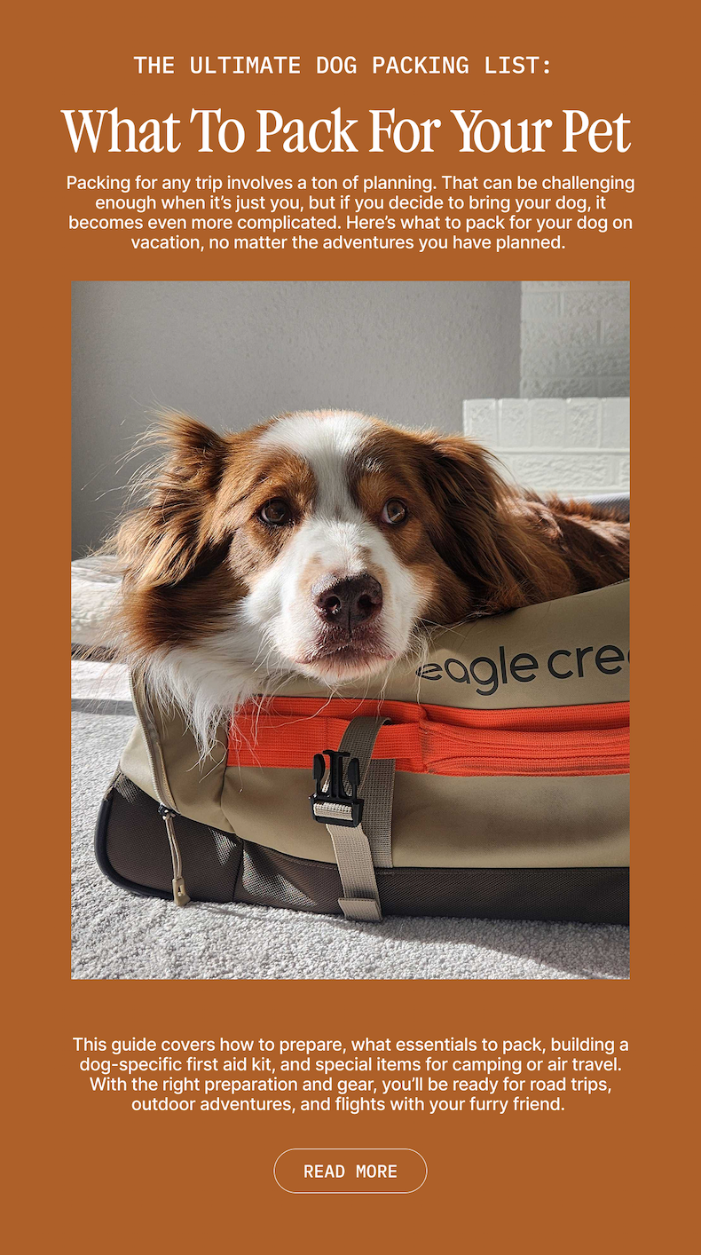 Dog Travel Blog