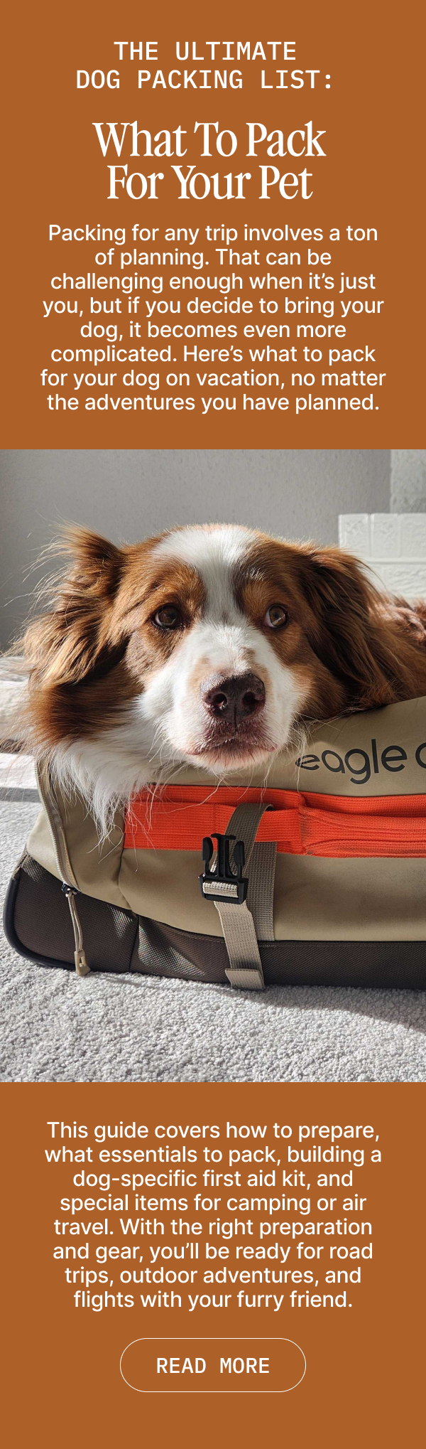 Dog Travel Blog