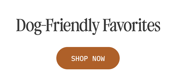 Dog-Friendly Favorites