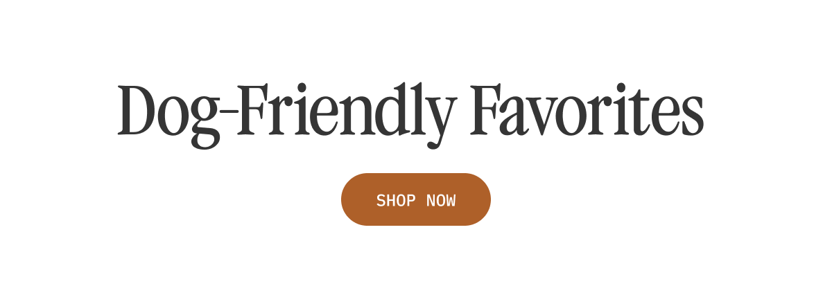 Dog-Friendly Favorites