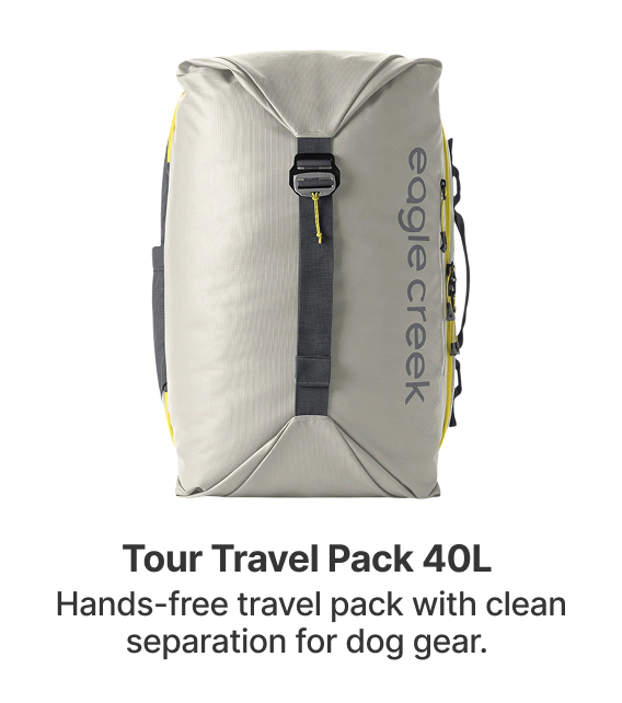 Tour Travel Pack 40L